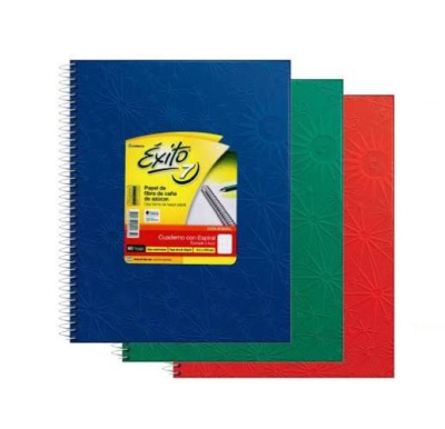 Cuad.exito Colegial *100H Color