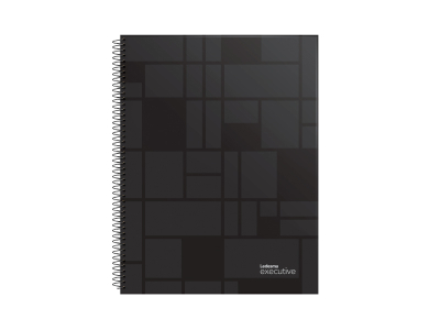 Cuad.executive 16/21 *120H