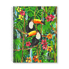 Cuad.ledesma Design 22/29 *84H Cr