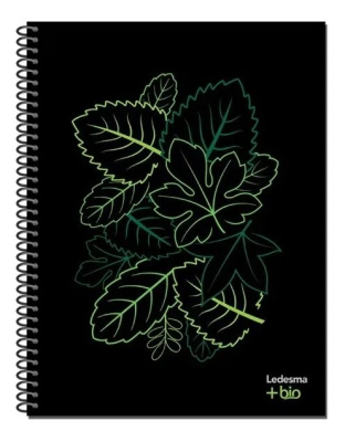 Cuad.bio Caña 16/21 *120H Rayado