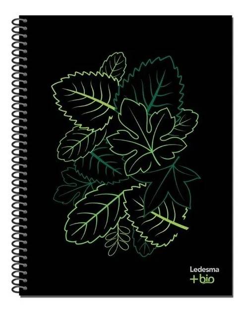 Cuad.bio Caña 16/21 *120H Rayado