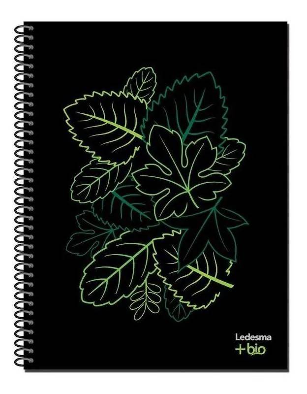 Cuad.bio Caña 21/27 *84H Cuadro