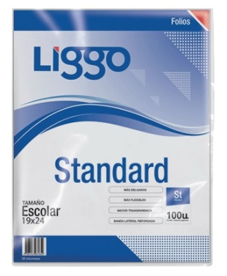 Folio Escolar Liggo Standard *100