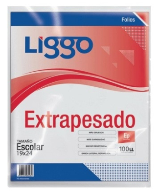 Folio Escolar Liggo Extra Cr. *100