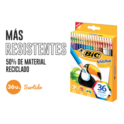Lapiz Bic Evolution *36L Color