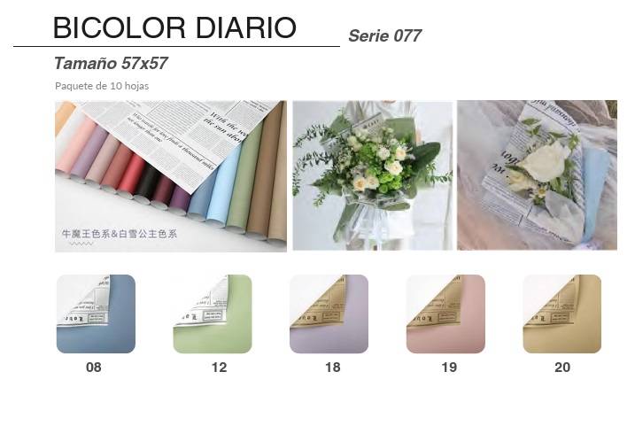 Papel Coreano Diario Nø77