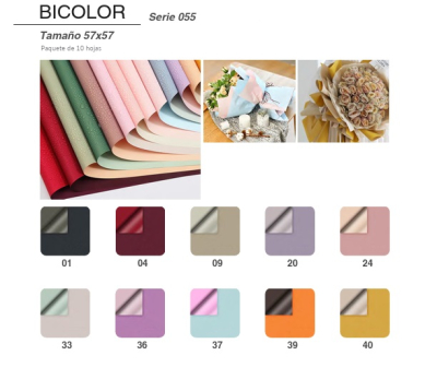 Papel Coreano Bicolor Nø55