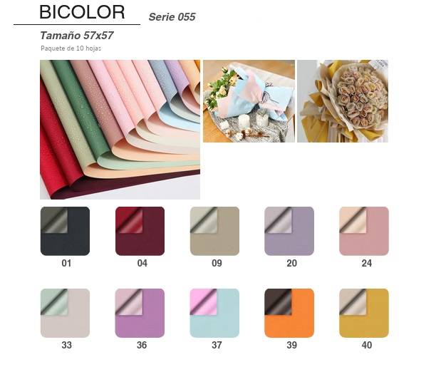 Papel Coreano Bicolor Nø55