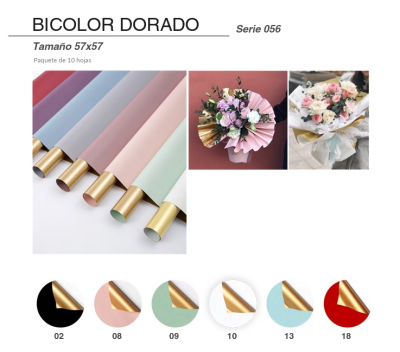 Papel Coreano Bicolor Nø56