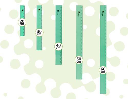 Regla Pizzini Verde 1732 60Cms