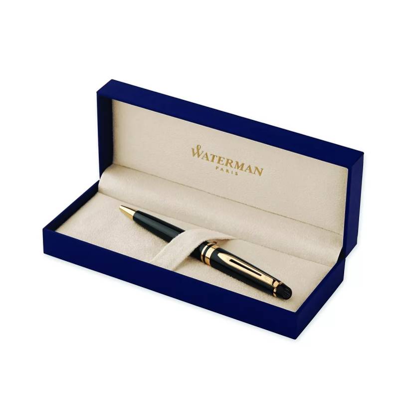 Waterman Expert 92679
