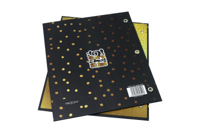 Carpeta Nro 3 Born To Shine2 20314