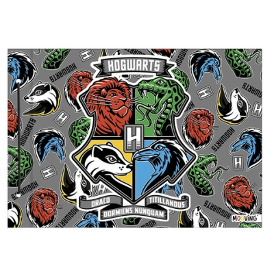 Carp.nø5 Mooving Harry Potter 2025