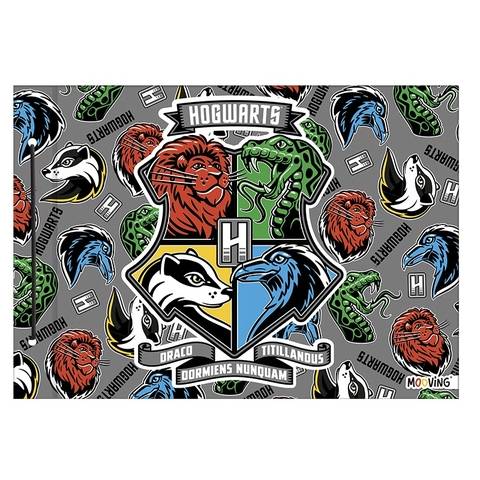 Carp.nø5 Mooving Harry Potter 2025