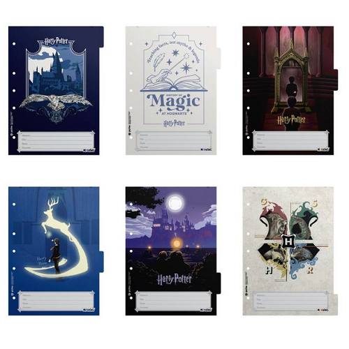 Separadores A4 Harry Potter 2027