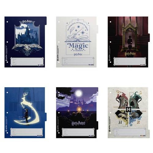 Separadores Num 3 Harry Potter 2027