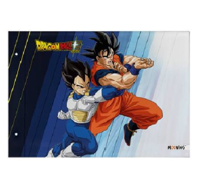 Carp.nø5 Mooving Dragon Ball 2027