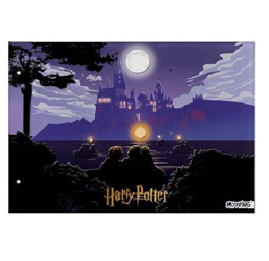 Carp.nø5 Mooving Harry Potter 2027