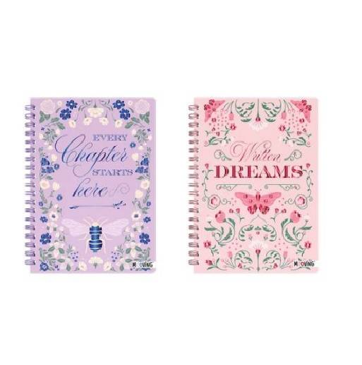 Cuad.td 16*21 *80H Esp.storybook 27