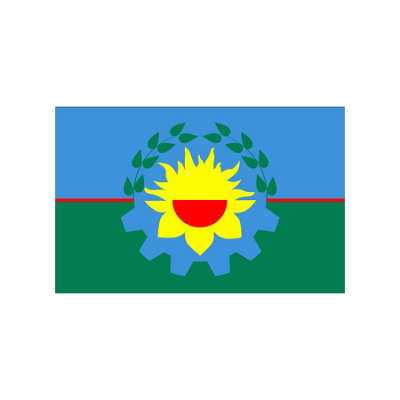 Bandera Milenio Bonaerense 60X96