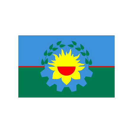 Bandera Milenio Bonaerense 90X150