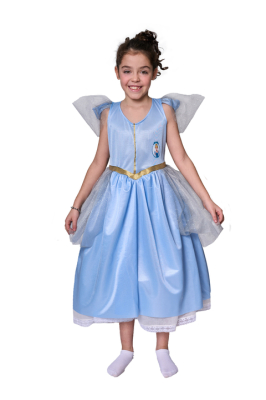 Disfraz La Cenicienta Gala