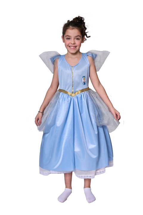 Disfraz La Cenicienta Gala