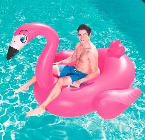 Flamenco Extra Grande 41108